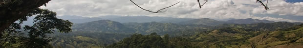 Untitled 5