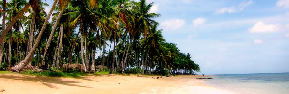 Las Terrenas République Dominicaine