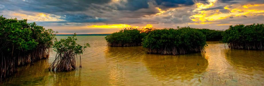 Laguna de Oviedo Barahona Доминиканская Республика-