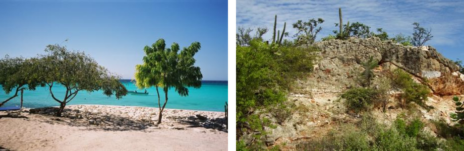 La Magie du Sud  République Dominicaine