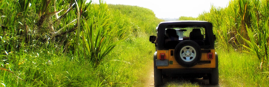 Safari Punta Cana République Dominicaine