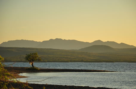 Dominican Republic
